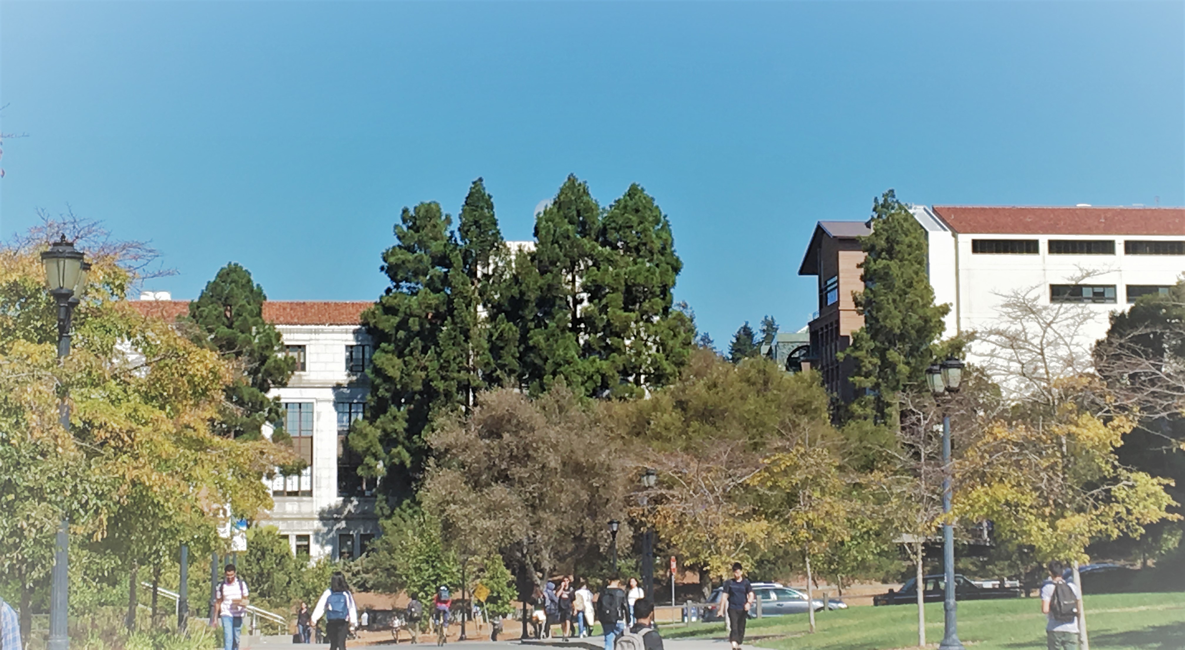 Campus View toward College of Engineering